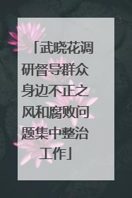 武晓花调研督导群众身边不正之风和腐败问题集中整治工作