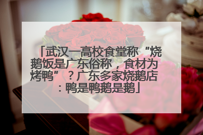 武汉一高校食堂称“烧鹅饭是广东俗称，食材为烤鸭”？广东多家烧鹅店：鸭是鸭鹅是鹅