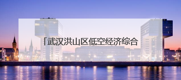 武汉洪山区低空经济综合试验区建设启动，“1+4+1”产业布局初现