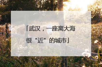 武汉，一座离大海很“近”的城市