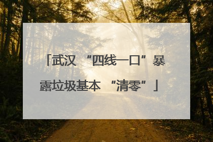 武汉 “四线一口”暴露垃圾基本 “清零”