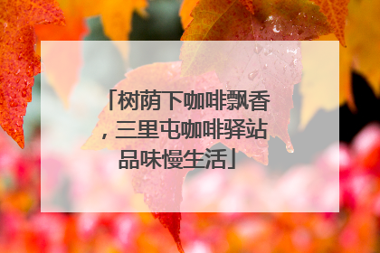 树荫下咖啡飘香，三里屯咖啡驿站品味慢生活