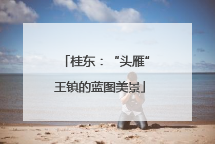 桂东：“头雁”王镇的蓝图美景