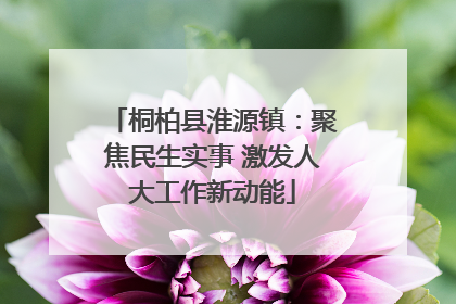 桐柏县淮源镇：聚焦民生实事 激发人大工作新动能