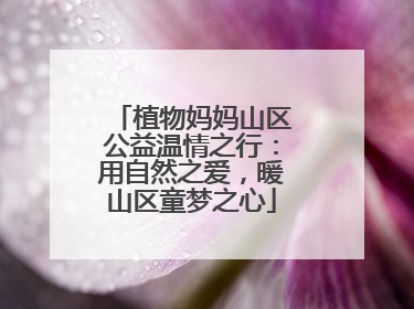 植物妈妈山区公益温情之行：用自然之爱，暖山区童梦之心