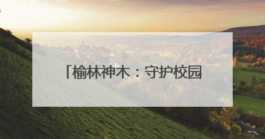 榆林神木：守护校园餐 共筑成长梦？