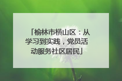 榆林市横山区：从学习到实践，党员活动服务社区居民
