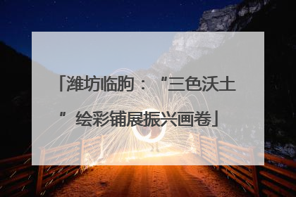 潍坊临朐：“三色沃土”绘彩铺展振兴画卷