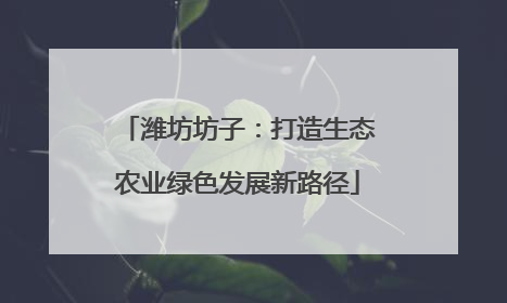 潍坊坊子：打造生态农业绿色发展新路径