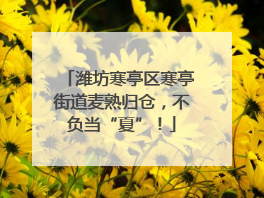 潍坊寒亭区寒亭街道麦熟归仓，不负当“夏”！