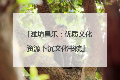 潍坊昌乐：优质文化资源下沉文化书院