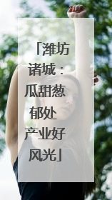 潍坊诸城：瓜甜葱郁处 产业好风光