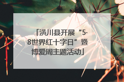 潢川县开展“5·8世界红十字日”暨博爱周主题活动