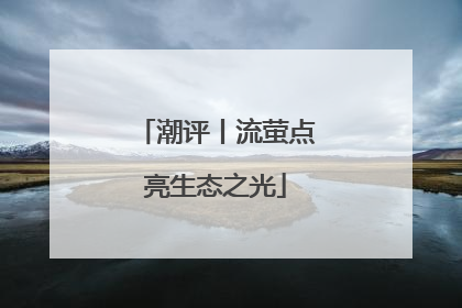 潮评丨流萤点亮生态之光