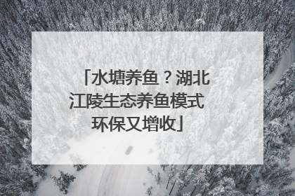 水塘养鱼？湖北江陵生态养鱼模式环保又增收
