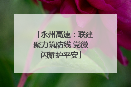 永州高速：联建聚力筑防线 党徽闪耀护平安