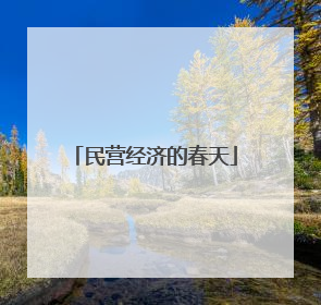 民营经济的春天