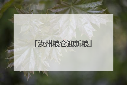 汝州粮仓迎新粮