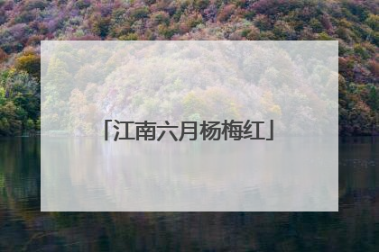 江南六月杨梅红