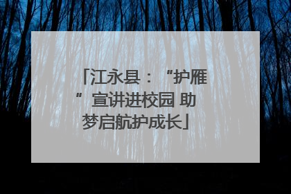 江永县：“护雁”宣讲进校园 助梦启航护成长