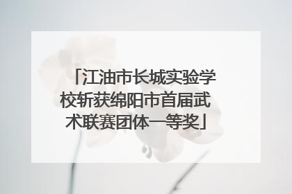 江油市长城实验学校斩获绵阳市首届武术联赛团体一等奖