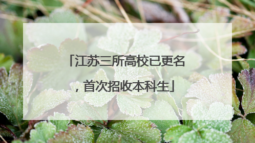 江苏三所高校已更名，首次招收本科生