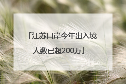 江苏口岸今年出入境人数已超200万