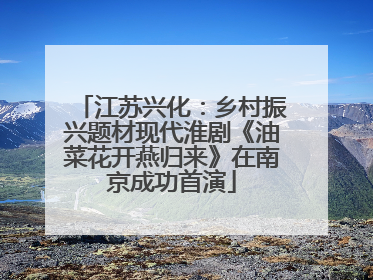 江苏兴化：乡村振兴题材现代淮剧《油菜花开燕归来》在南京成功首演