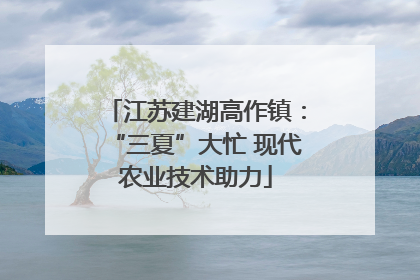 江苏建湖高作镇：“三夏”大忙 现代农业技术助力
