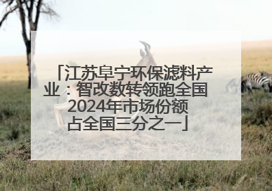 江苏阜宁环保滤料产业：智改数转领跑全国 2024年市场份额占全国三分之一
