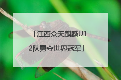 江西众天麒麟U12队勇夺世界冠军