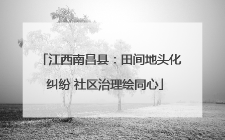 江西南昌县：田间地头化纠纷 社区治理绘同心
