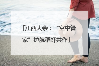 江西大余：“空中管家”护航稻虾共作