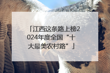 江西这条路上榜2024年度全国“十大最美农村路”