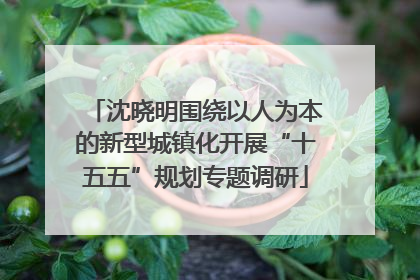沈晓明围绕以人为本的新型城镇化开展“十五五”规划专题调研
