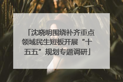 沈晓明围绕补齐重点领域民生短板开展“十五五”规划专题调研