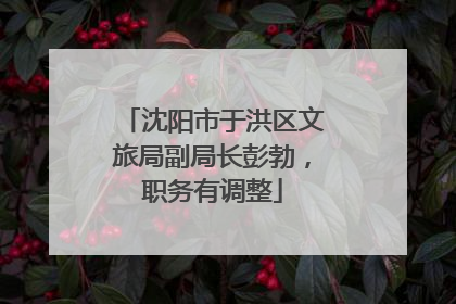 沈阳市于洪区文旅局副局长彭勃，职务有调整