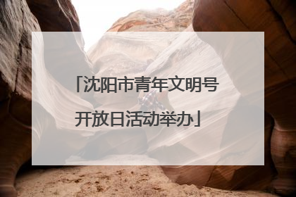 沈阳市青年文明号开放日活动举办