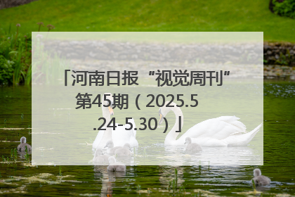 河南日报“视觉周刊”第45期（2025.5.24-5.30）