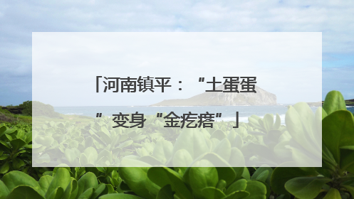 河南镇平：“土蛋蛋”变身“金疙瘩”