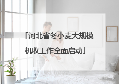 河北省冬小麦大规模机收工作全面启动