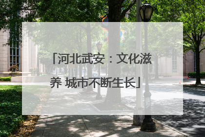 河北武安：文化滋养 城市不断生长