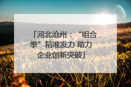 河北沧州：“组合拳”精准发力 助力企业创新突破