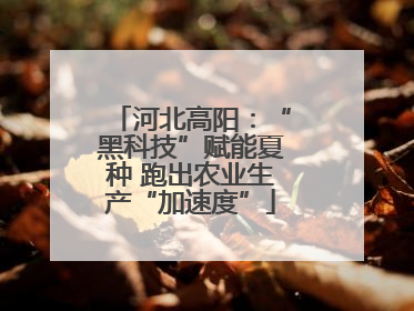 河北高阳：“黑科技”赋能夏种 跑出农业生产“加速度”