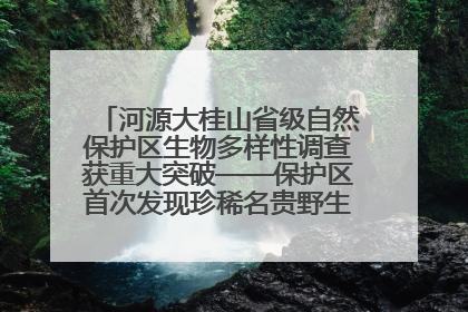 河源大桂山省级自然保护区生物多样性调查获重大突破——保护区首次发现珍稀名贵野生干巴菌与钝尾两头蛇