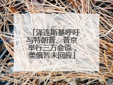 泽连斯基呼吁与特朗普、普京举行三方会谈，美俄暂未回应