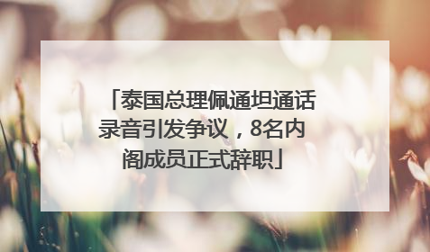 泰国总理佩通坦通话录音引发争议，8名内阁成员正式辞职
