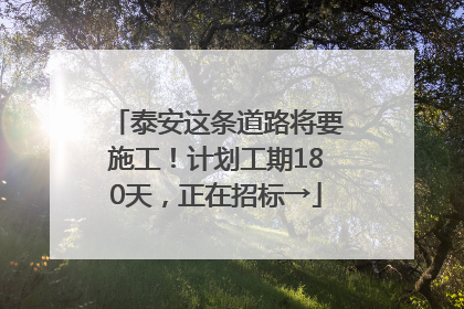 泰安这条道路将要施工！计划工期180天，正在招标→