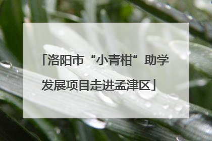 洛阳市“小青柑”助学发展项目走进孟津区