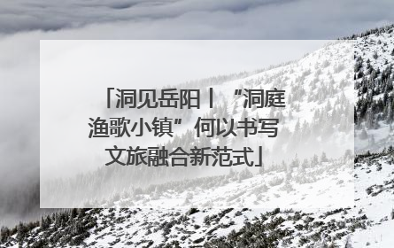 洞见岳阳丨“洞庭渔歌小镇”何以书写文旅融合新范式